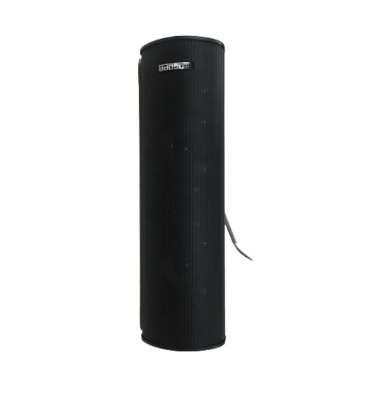Dsppa DSP408 outdoor column speaker